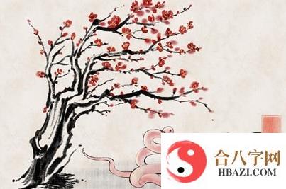 属蛇女孩几点出生最好命，属蛇女出生最佳时辰一览