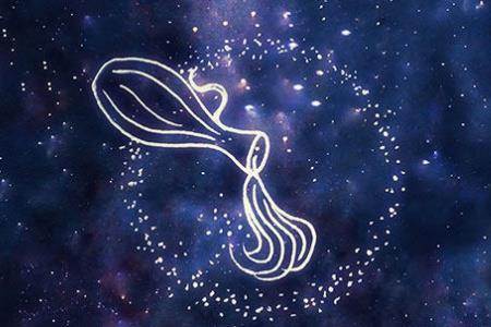 唯一能看透水瓶的星座 双子座最懂水瓶座
