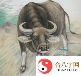 94年属狗和97年属牛八字合吗？94年属狗属相婚配表
