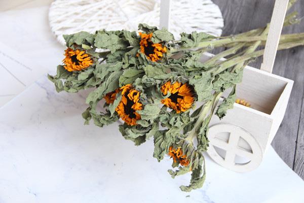 干花摆放风水