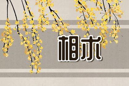 从不与人争长短的面相 不愿与人争是非的面相
