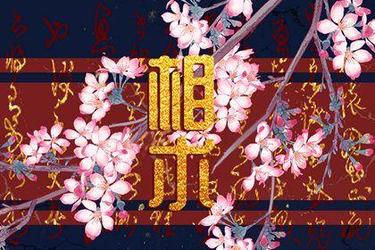 倒霉相的十大特征 倒霉的人面相特征