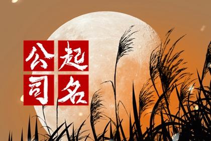 公司取名带财带旺的字有哪些 旺财的简约公司名字
