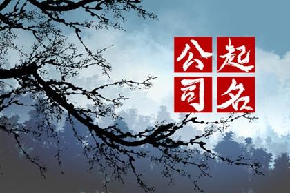 传媒公司名字有创意好听 有高级感的传媒公司名字